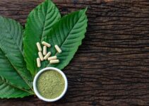 How To Find The Best Kratom Strains For Your Needs – 2024 Guide