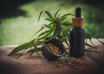 How long does CBD Oil last before it goes bad – 2024 Guide