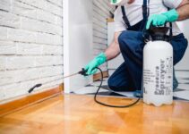 6 Reasons to Pest-Proof Your Home Every Year