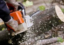 6 Reasons to Leave Tree Removal to the Professionals in 2024