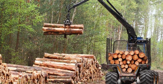 5 Emerging Trends in Forestry and Logging in 2024