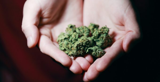10 Things To Be Mindful About While Buying Weed In Canada