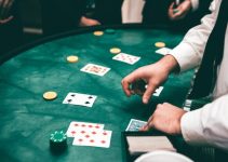 Fascinating Facts About Online Casinos You Need to Know