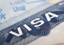 5 Things You Need to Know About the L1 Visa
