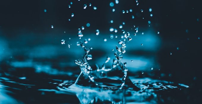 Rain Water vs Tap Water: What’s the Difference?