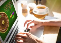 What to Look For When Choosing an Online Casino – 2024 Guide