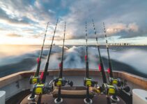 Tips From The World Of Fishing