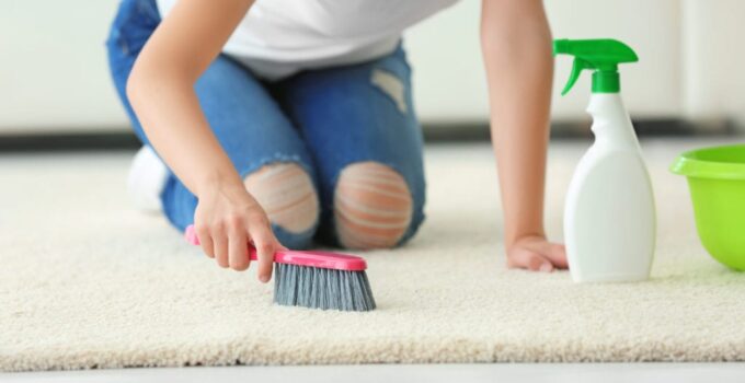 How Often Should You Clean Your Rugs – 2024 Guide