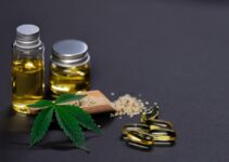 Complete Guide to Different CBD Products