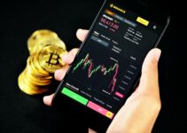 How to Join the Community of Crypto Trading: Start Using the Bitcoin Applications Right Now