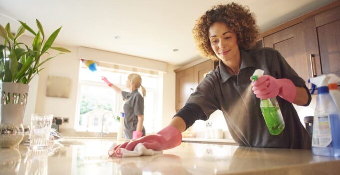 Home Cleaning Tricks and Strategies to Keep a Safe Distance From Pests and Bugs