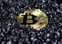 Where is Bitcoin Headed?