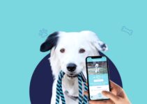 10 Best Apps For Pet Owners in 2024