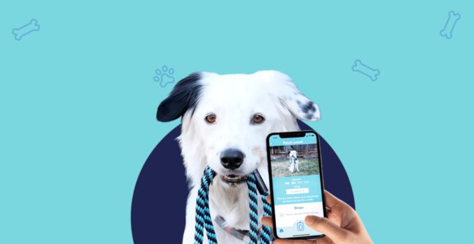 10 Best Apps For Pet Owners in 2024