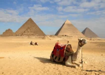 5 Tips for Finding Reliable Advertising Agencies in Egypt