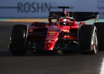 Who Will Be Formula 1 Champion in 2024?