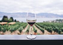 Top 11 Wine Tasting Tours in Margaret River To visit in 2024