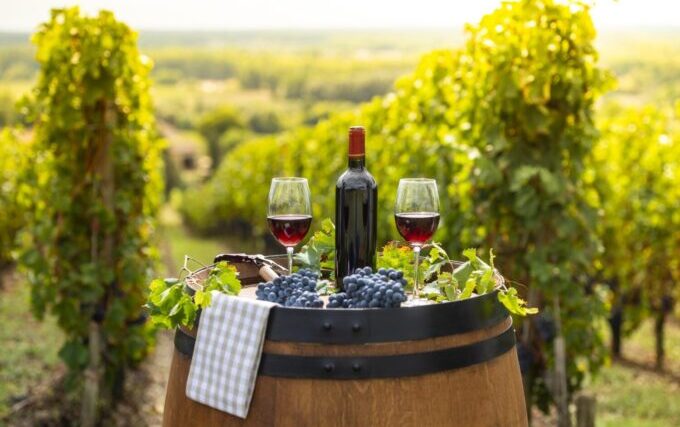 Bordeaux- Taste Some World-Class Wines