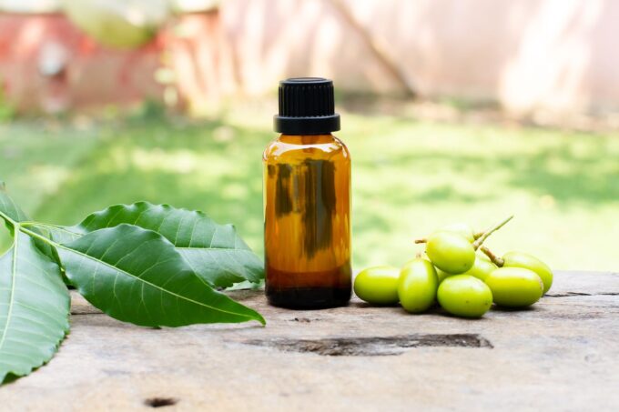 Use neem oil to prevent Powdery Mildew on Cannabis Plants
