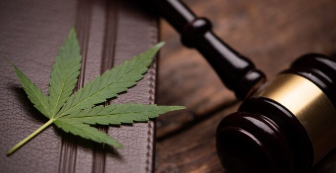 Decoding the Legal Discrepancy Between Tobacco and Cannabis Laws – 2024 Guide
