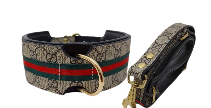 Designer Dog Collars and Leashes-How to Elevate Your Pet's Style Game