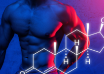 Exploring the Link Between Testosterone and Muscle Growth