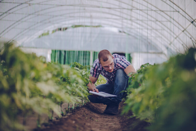 Higher Education in Agriculture