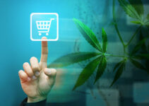 Buying Weed Online in Canada 2024: Regulations Every Consumer Should Know