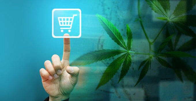 Buying Weed Online in Canada 2024: Regulations Every Consumer Should Know