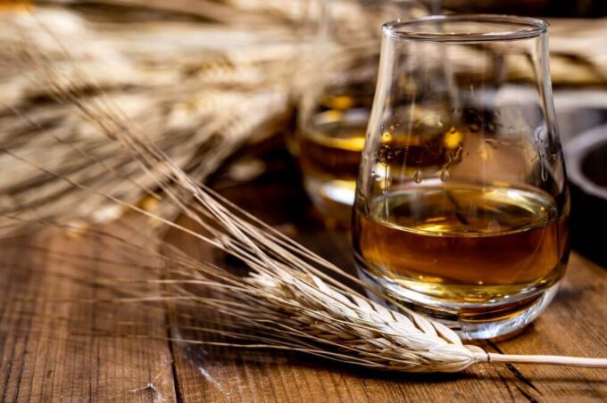 barley bourbon