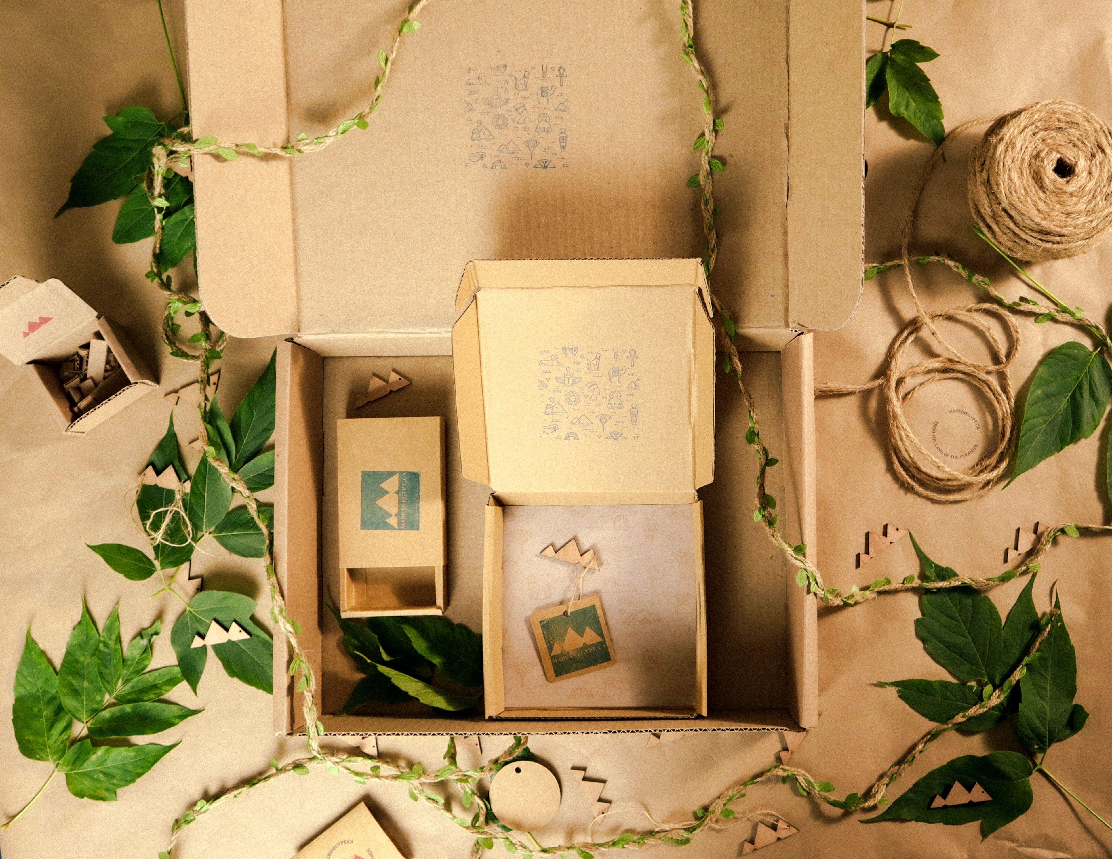 Flat lay of eco-friendly cardboard packaging with natural elements and green leaves for sustainable branding