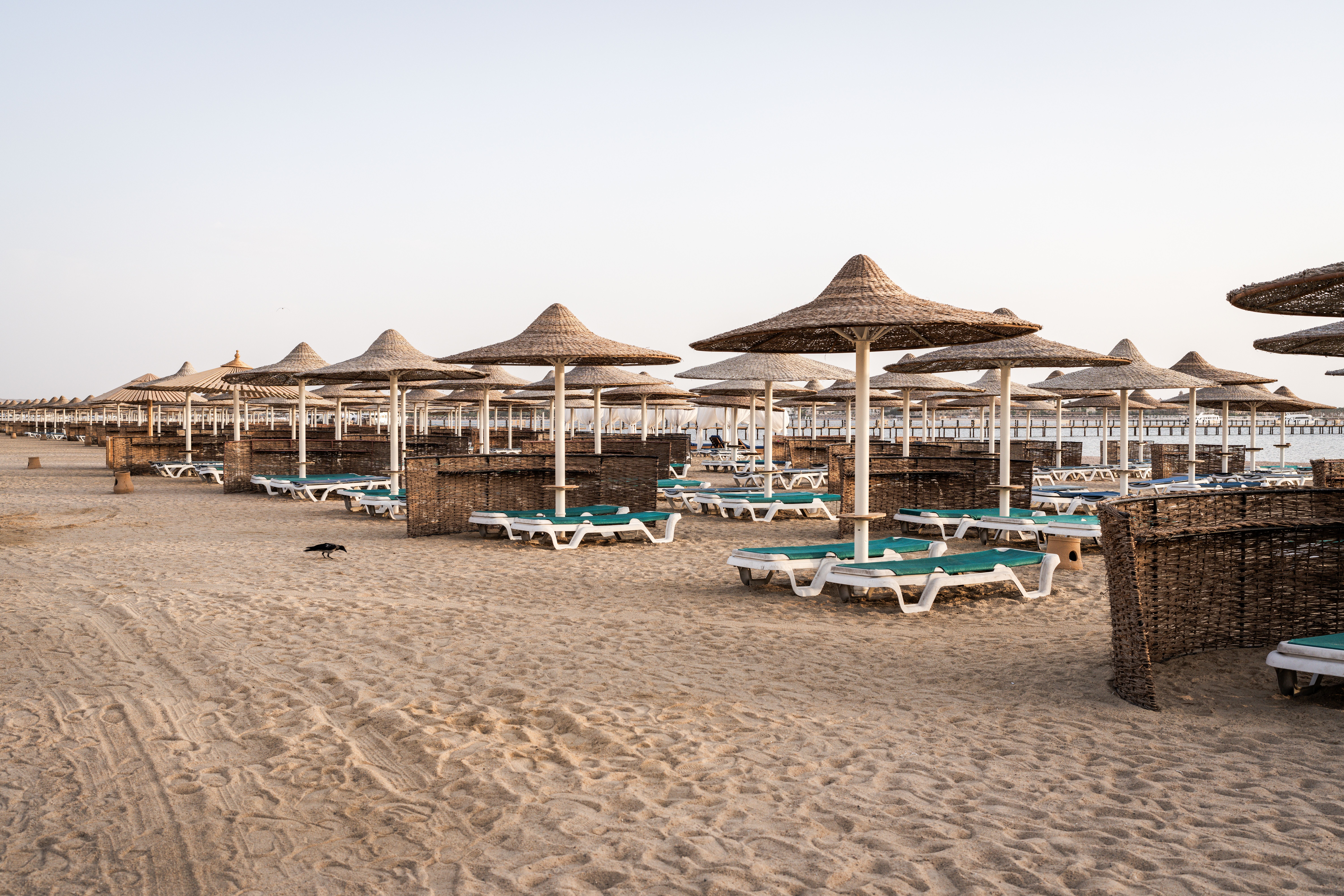 Straw sun umbrellas on the sandy beach of Hurghada, Egypt.